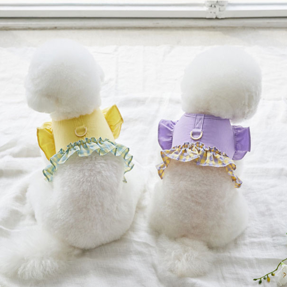 Lace Teddy Lingerie - Coleira Peitoral Curta para Cães Pequenos